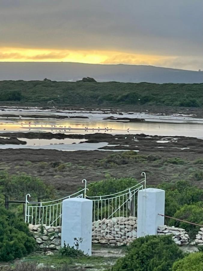 Rooisee Yzerfontein